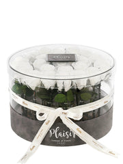 أكريليك دائري - ورود طازجة حمراء