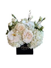 مربع مخملي - أونيكس أسود