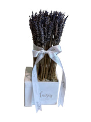 Lavender in Velvet Square