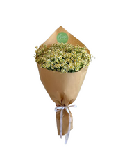Hand-Tied Bouquet - Chamomile Love