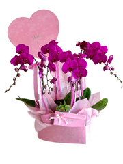 Velvet Heart Box - Luxury Orchid Giftset