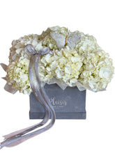 Velvet Square - Hydrangeas