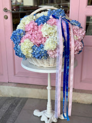 71 Hydrangeas Basket
