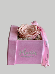 Eid Gift Tray - Pink