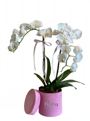 طقم هدايا - صينية فاخرة باللون الوردي كبيرة