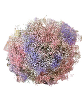 Hand-Tied Bouquet - Gypso Rainbow Of Love