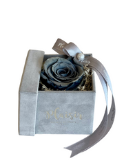 وردة إلى الأبد إنفينيتي - لون رمادي واحد على لون رمادي