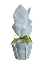 Scented Candle - Olive