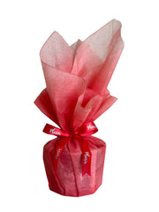 Scented Candle - Red