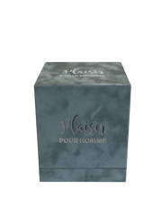 Plaisir Pour Homme (Men's Fragrance) (100ml)