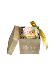 وردة فوريفر إنفينيتي - لون واحد متعدد الألوان على لون بني