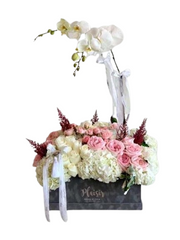 Velvet VIP Box - Orchids, Roses, Hydrangeas