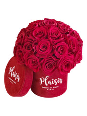 وردة فوريفر إنفينيتي - قبة صغيرة حمراء على حمراء