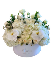 Velvet Hatbox - All White Floral
