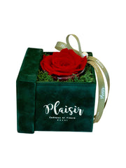 Forever Rose Infinity - Single Red on Green
