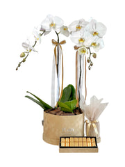 Giftset - Double Orchids Tan