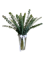 مزهرية متوسطة الحجم مقطوعة بشكل متقاطع - شجرة الكينا