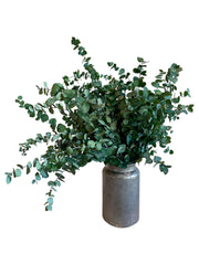 مزهرية متوسطة الحجم باللون الفضي الملكي - إنفينيتي أوكالبتوس