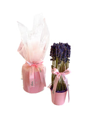 Giftset - Lavender Pail and Candle