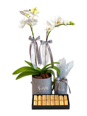 Giftset - Mini Orchid, Chocolates and Candle