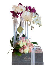 Velvet VIP Box - Orchids, Roses, Chocolates