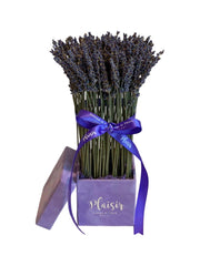 Lavender in Velvet Square