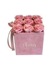 Forever Rose Infinity - Pink on Pink