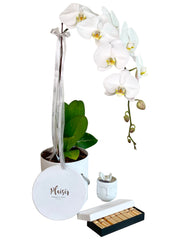 Giftset - Orchid, Chocolates and Crystal Candle