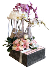 Velvet VIP Box - Orchids, Roses, Chocolates