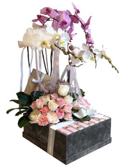 Velvet VIP Box - Orchids, Roses, Chocolates