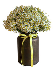 Vase - Chamomile Rustic Love
