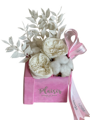 Forever Rose Infinity - Double White on Pink