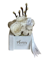 Forever Rose Infinity - Double White on White