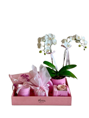 Eid Gift Tray - Pink