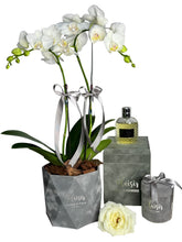 Giftsest - Pour Homme Cologne, Orchids & Chocolates