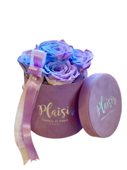 Forever Rose Infinity - Six Candylane on Lilac