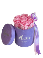 Forever Rose Infinity - Six Pink on Lilac