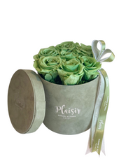 Forever Rose Infinity - Six Green on Green