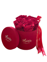 Forever Rose Infinity - Six Red on Red