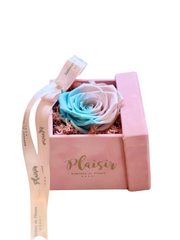 Forever Rose Infinity - Single Candylane on Pink