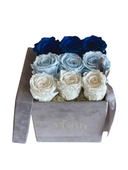 Forever Rose Infinity - Nine Ombré