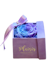 وردة إلى الأبد إنفينيتي - كاندي لين واحدة على ليلك