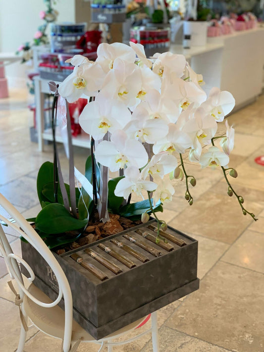 Do boys like flowers?