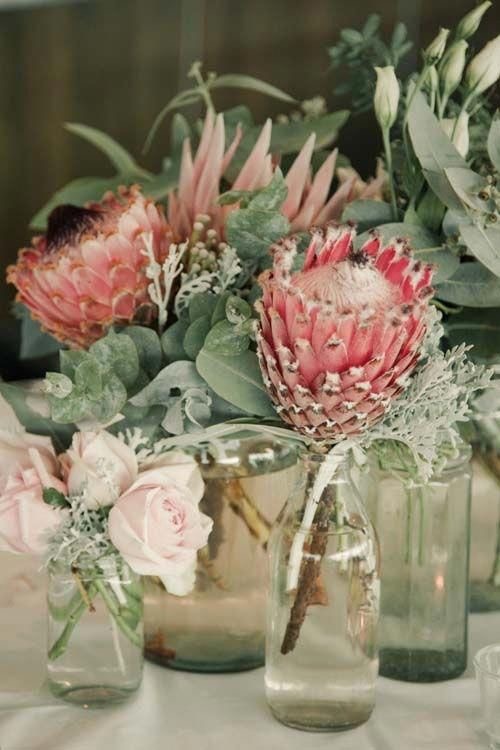 Summer Flowers