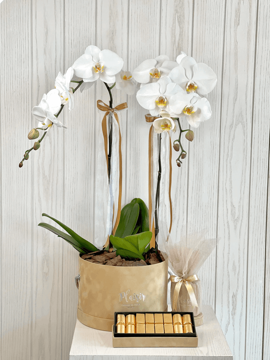 Where to find the best flower shop in Dubai