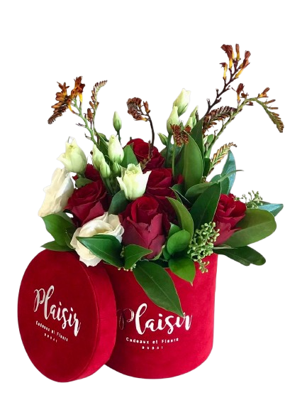 Christmas Red and White Cheer