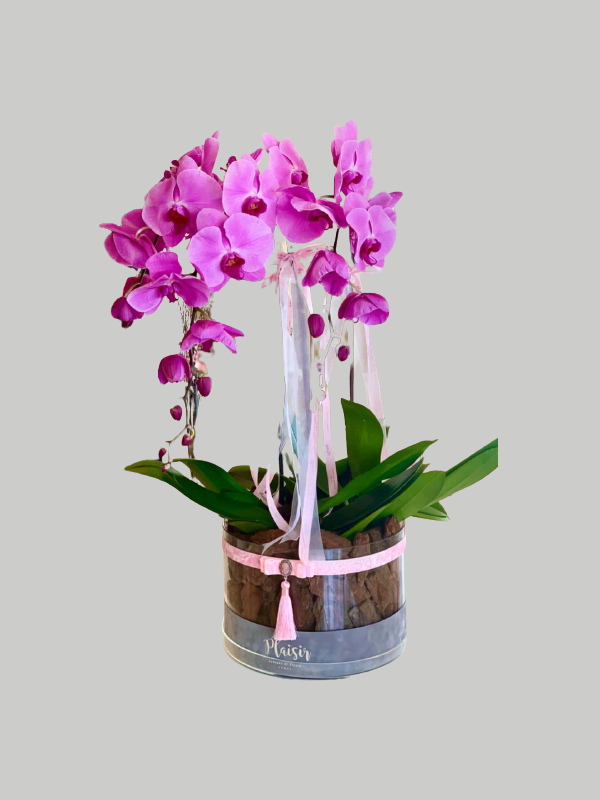 Orchids Acrylic Round - Purple