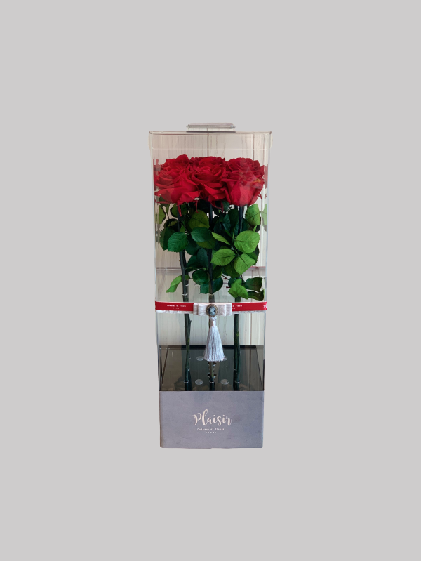 Forever Rose Infinity Red - Acrylic Tall