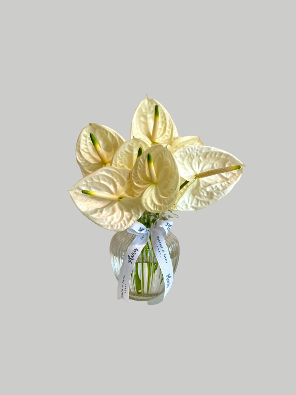 Vase Small Bubblicious - White Anthuriums