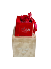 Giftset - Exquisite Fragrance and Single Infinity